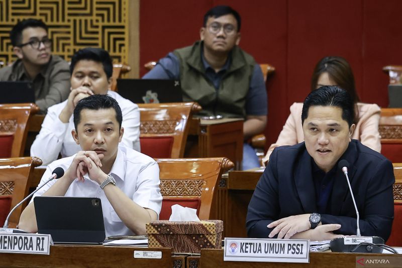Komisi X DPR setujui naturalisasi Emil Audero, Dean James, dan Joey