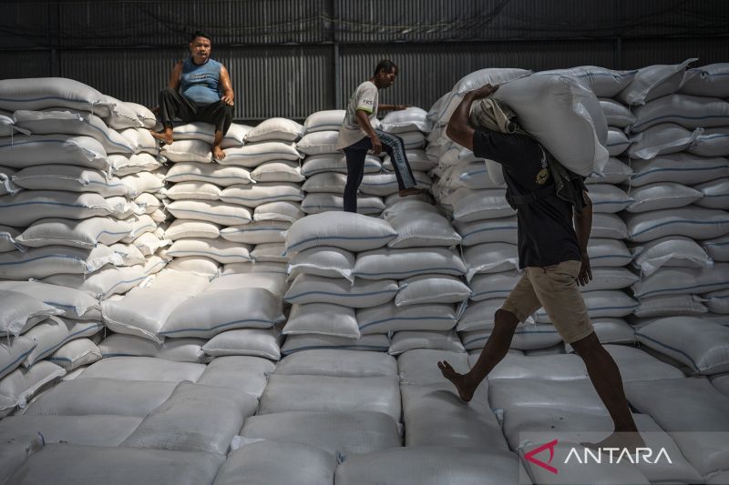 Stok cadangan beras pemerintah mencapai 4,15 juta ton