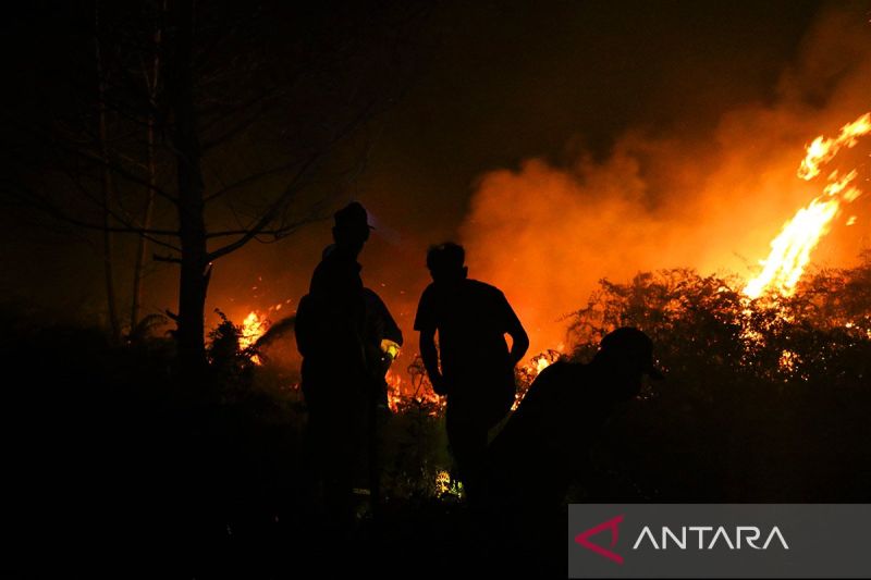 Kebakaran lahan di Singkawang sudah meluas 100 hektare