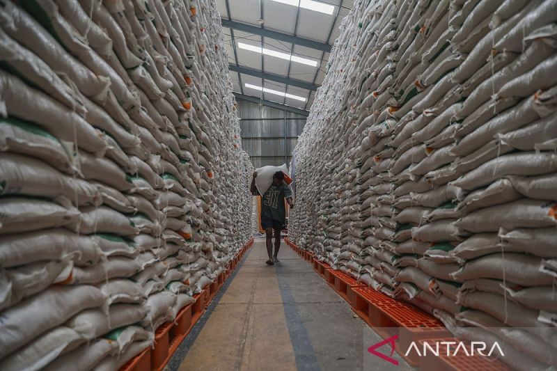 Bapanas: Produksi beras RI tertinggi di Asia Tenggara, ke-4 di dunia