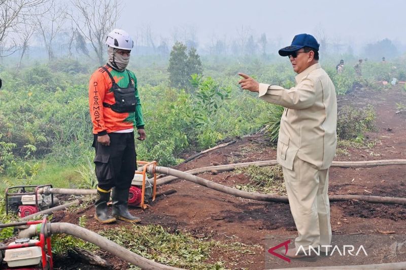 Prabowo susuri karhutla di Kubu Raya, pastikan penanganan optimal