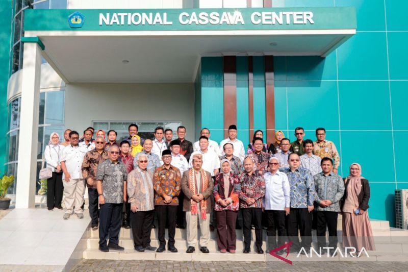 Menteri PPN: Pengembangan singkong di Indonesia miliki prospek besar