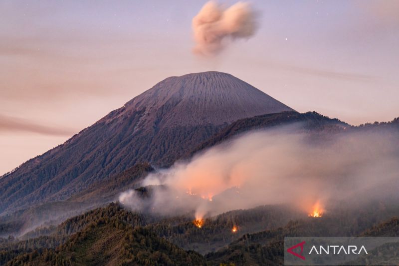Menhut tutup sementara pendakian 9 taman nasional rawan karhutla